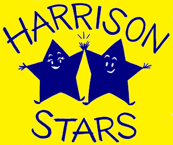 Harrison Stars Blue yellow background